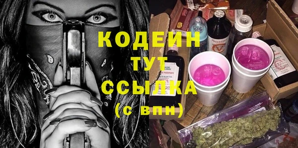 PSILOCYBIN Алзамай