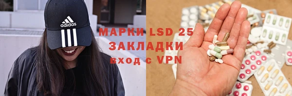 PSILOCYBIN Надым